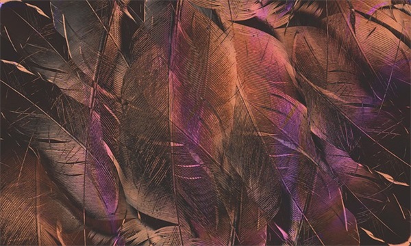 希望留住美好时光的句子 留住美好时光的句子