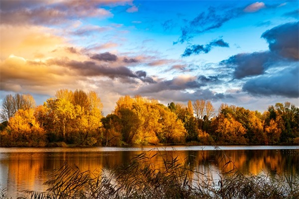 光棍节祝福语大全81句