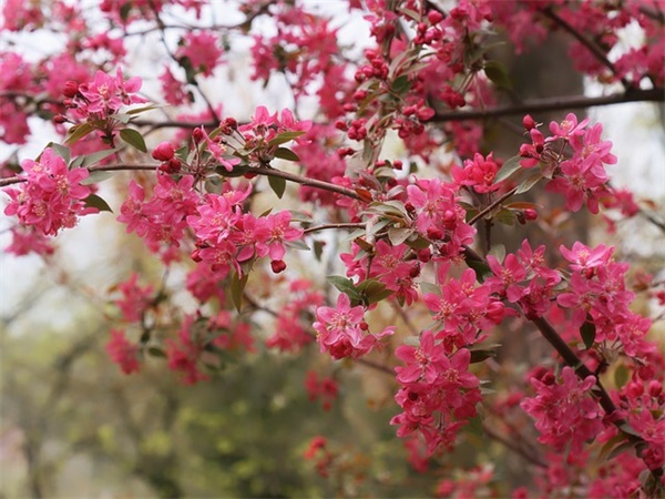 渐渐老去的80后的句子 80后的无奈经典语录