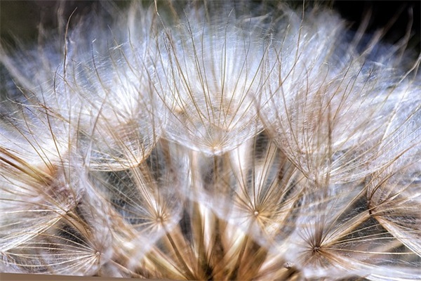 伤感系话动漫语录 伤感的句子动漫