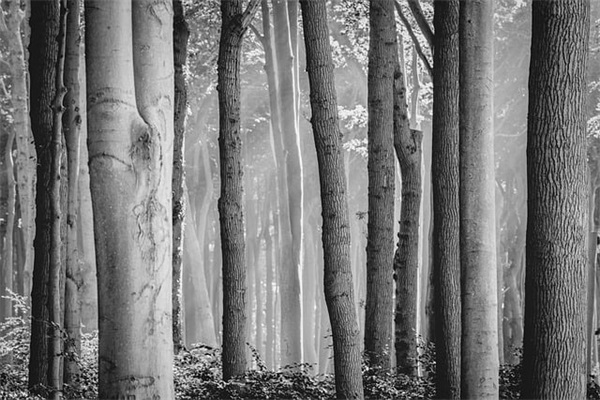 电影感人语录经典语录 生日语录经典语录