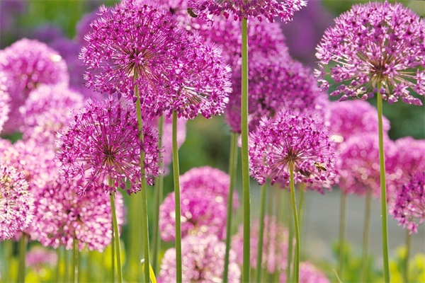 鼓励学生的名人语录