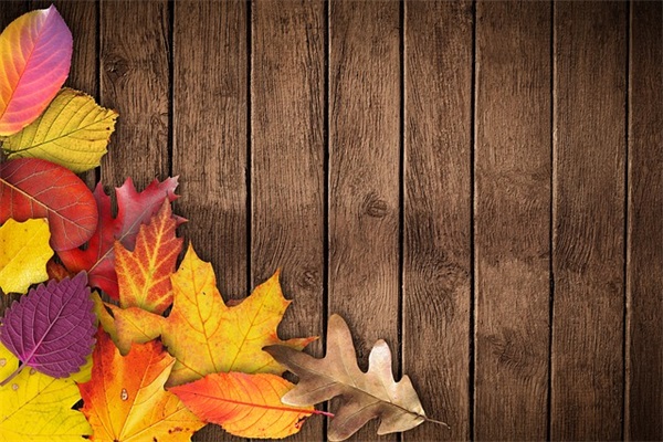 追女孩子的经典语录