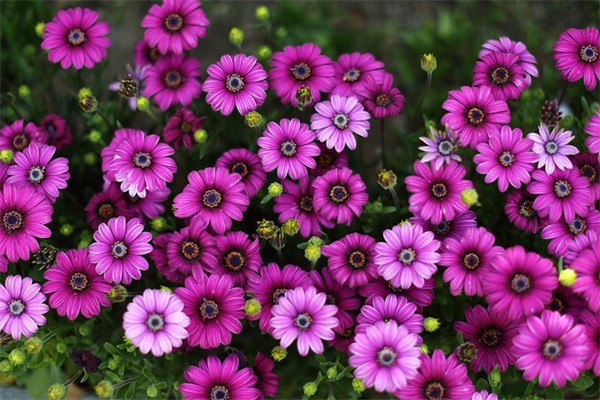 套路最后反转的话 反转心灵鸡汤的语录