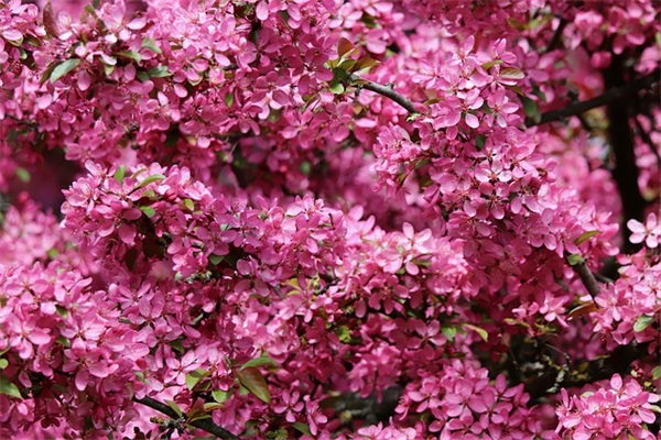 时间会证明一切的语录