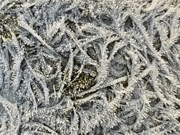 致拼搏路上的自己简短语录