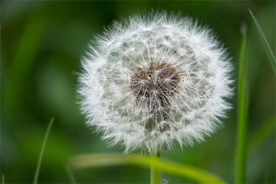 感情扎心的伤感说说语录