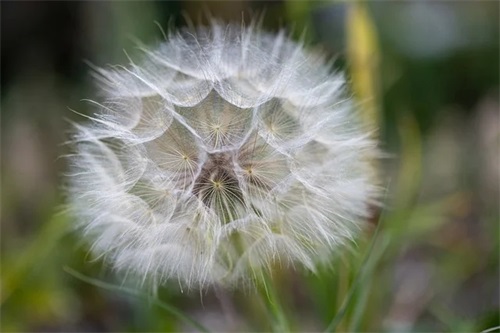 有关爱过你的伤感语录