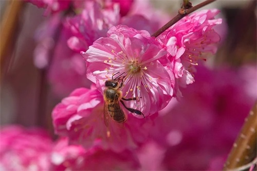 19岁生日祝福语简短 - 111句