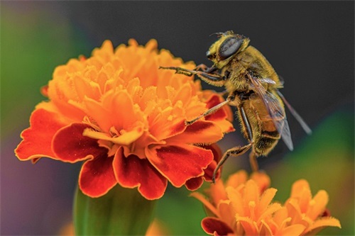 心灵鸡汤幽默话语录(心灵鸡汤女人励志语录)