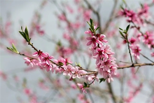 工作语录经典84句