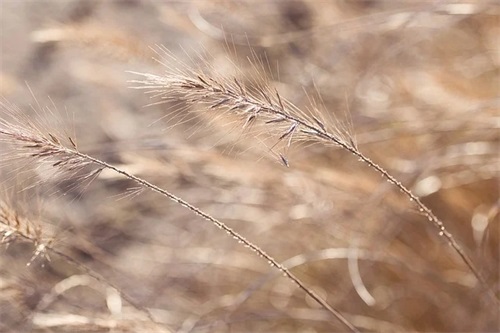 2026年最新伤感语录93句